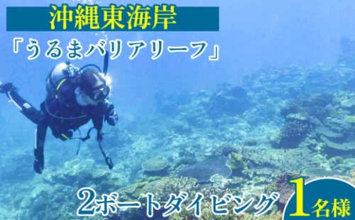 沖縄東海岸「うるまバリアリーフ」で2ボートダイビング（1名様） 154552 - 沖縄県うるま市