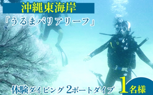 沖縄東海岸「うるまバリアリーフ」で体験ダイビング　（1名様） 154554 - 沖縄県うるま市