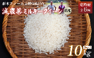 【定期便6回】【令和6年産】新米 減農薬ミルキークイーン 精米 10kg 毎月お届け 6ヶ月【 定期便 米 ミルキークイーン 10キロ 10kg 精米 白米 こめ コメ お米 おこめ 減農薬 低農薬 農家直送 綾部 京都 森本ファーム 】