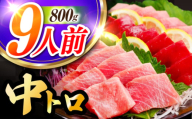 長崎県産 本マグロ「中トロ」(約800g) 中とろ マグロ まぐろ 鮪 マグロ刺身 ブロック トロ 刺身 さしみ 刺し身 冷凍 東彼杵町/大村湾漁業協同組合  [BAK037]