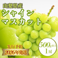 [2026年先行予約] シャインマスカット500g以上(1房) 都留市 山梨 シャインマスカット マスカット 葡萄 ぶどう ブドウ フルーツ
