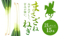 まさざねねぎ 15本 2Lサイズ 七戸宏大《9月中旬-12月上旬頃出荷》岩手県 九戸村 野菜 やさい ねぎ ネギ 葱 武将 送料無料