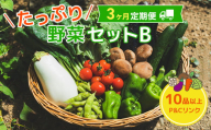 【 3ヶ月 定期便 】 野菜セット 10品 季節 旬 野菜 詰め合せ 定期 国産 季節 旬 おまかせ 産地直送 春野菜 夏野菜 秋野菜 きのこ 葉物 果物 果菜 根菜 冷蔵 野菜室 ダイエット 食 栄養食 加工品 カット野菜 岩手県産 北上産 季節限定 山菜 ブロッコリー たまねぎ さつまいも とうもろこし サラダ トマト しいたけ アスパラガス 送料無料 岩手県 北上市 F0129