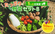 【 5ヶ月 定期便 】野菜セット 10品 季節 旬 野菜 詰め合せ 定期 国産 季節 旬 おまかせ 産地直送 春野菜 夏野菜 秋野菜 きのこ 葉物 果物 果菜 根菜 冷蔵 野菜室 ダイエット 食 栄養食 加工品 カット野菜 岩手県産 北上産 季節限定 山菜 ブロッコリー たまねぎ さつまいも とうもろこし サラダ トマト しいたけ アスパラガス 送料無料 岩手県 北上市 H0144