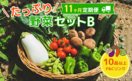 【 11ヶ月 定期便 】野菜セット 10品 季節 旬 野菜 詰め合せ 定期 国産 季節 旬 おまかせ 産地直送 春野菜 夏野菜 秋野菜 きのこ 葉物 果物 果菜 根菜 冷蔵 野菜室 ダイエット 食 栄養食 加工品 カット野菜 岩手県産 北上産 季節限定 山菜 ブロッコリー たまねぎ さつまいも とうもろこし サラダ トマト しいたけ アスパラガス 送料無料 岩手県 北上市 L0097