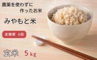 【定期便6回】農薬を使わずに作ったお米　みやもと米（玄米）　5kg