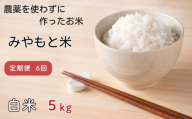 【定期便6回】農薬を使わずに作ったお米　みやもと米（白米）　5kg