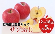 ＜2021年12月上旬よりお届け＞北海道壮瞥町　りんご　品種名「サンふじ」16～20玉約5kg
