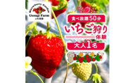 いちご狩り 大人1人 利用券【1556863】