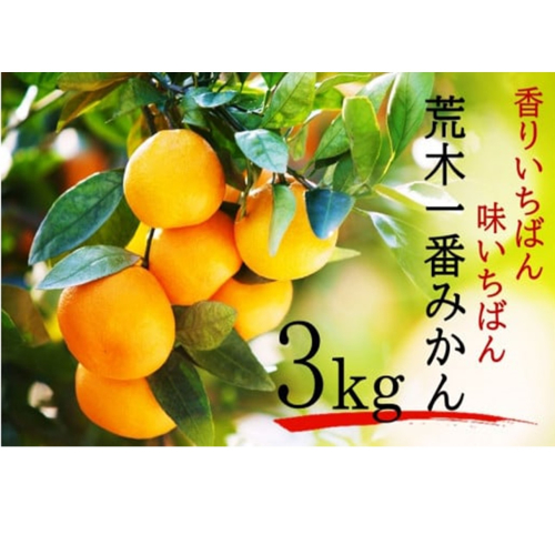 【先行予約・年明け配送】令和7年1月から出荷開始 / 荒木一番みかん約3kg_2305R-2 1546597 - 大分県国東市