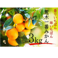 【先行予約・年明け配送】令和7年1月から出荷開始 / 荒木一番みかん約3kg_2305R-2