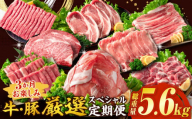 3か月 お楽しみ 牛 豚 厳選 スペシャル 定期便 総重量5.6kg 肉 牛肉 宮崎牛 肩ウデ ロースステーキ 豚肉 6種 盛り合わせ セット 豚ロース 豚バラ 小間切れ すき焼き しゃぶしゃぶ 黒毛和牛 A4 A5 和牛 国産 食品 牛丼 薄切り おすすめ 宮崎県産 日南市 送料無料_H48-24