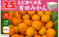 みかん とにかく小玉 箱込 2.5kg ( 内容量約2.3kg) 2Sサイズ以下 秀品 優品 混合 有田みかん 和歌山県産 産地直送 家庭用 【みかんの会】　