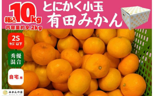 みかん とにかく小玉 箱込 10kg ( 内容量約 9.2kg ) 2Sサイズ以下 秀品 優品 混合 有田みかん 和歌山県産 産地直送 家庭用 【みかんの会】　 1546768 - 和歌山県有田川町