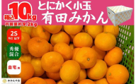 みかん とにかく小玉 箱込 10kg ( 内容量約 9.2kg ) 2Sサイズ以下 秀品 優品 混合 有田みかん 和歌山県産 産地直送 家庭用 【みかんの会】　