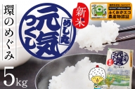 特別栽培米「環のめぐみ」 精米5kg