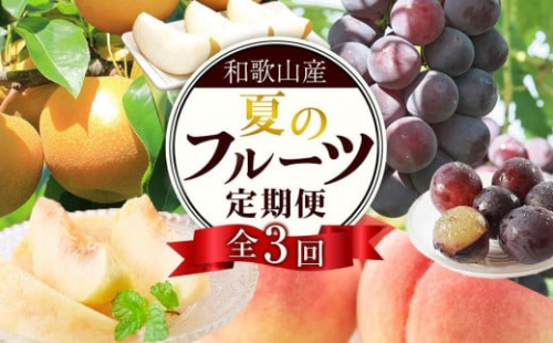 定期便全3回 【7月・8月・9月発送】 和歌山の夏のフルーツをお届け（桃・梨・たねなしピオーネ）【TM179】 1547009 - 和歌山県上富田町