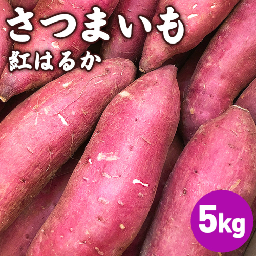 茨城県産 さつまいも  5kg ( 紅はるか ) S～2Lサイズ 茨城県産 さつまいも サツマイモ いも 芋 イモ [AF108ci] 1547121 - 茨城県筑西市