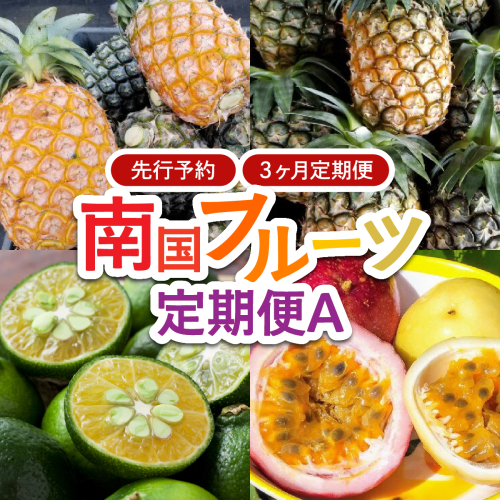 2026年 先行予約 定期便 3ヶ月 南国フルーツ 定期便A パイン シークヮーサー 計4種類 果物 フルーツ 3回 お楽しみ 1547127 - 沖縄県竹富町