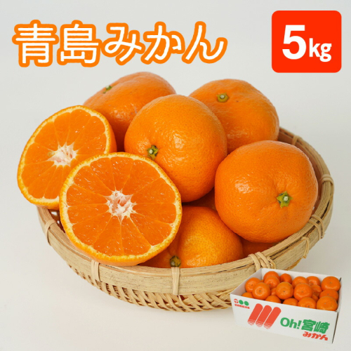 青島みかん 5kg N0132-YA2253 1547130 - 宮崎県延岡市