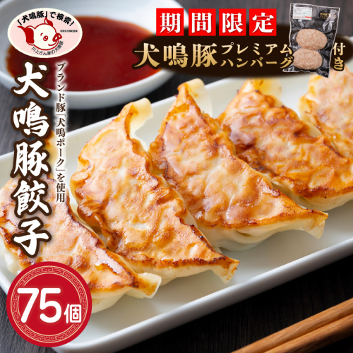【期間限定】犬鳴豚餃子 75個＋手作りプレミアムハンバーグ（2個入り）【国産 豚肉 泉佐野ブランド豚 犬鳴ポーク】 099H3920-1 1547162 - 大阪府泉佐野市