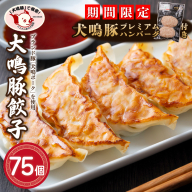 【期間限定】犬鳴豚餃子 75個＋手作りプレミアムハンバーグ（2個入り）【国産 豚肉 泉佐野ブランド豚 犬鳴ポーク】 099H3920-1