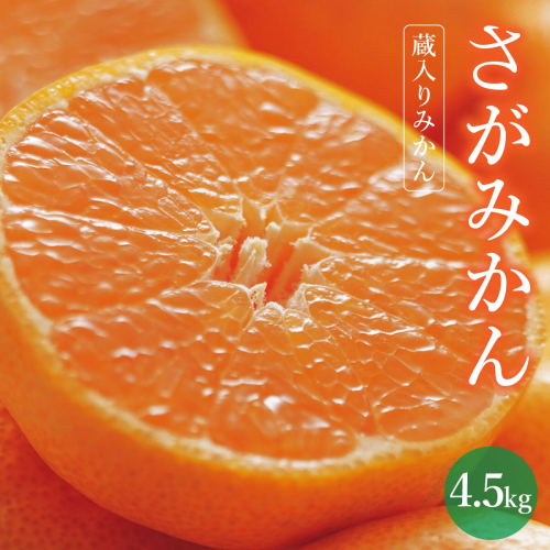 【期間限定】さがみかん （蔵入りみかん4.5kg）【温州みかん 甘い 濃厚 ジューシー コク 完熟 熟成みかん 蔵出し 蔵入り 柑橘 密柑 ギフト 果物 フルーツ 佐賀県産 佐賀県 大和 太良 石橋果樹園 人気】【B-1121-IK】 1547360 - 佐賀県上峰町