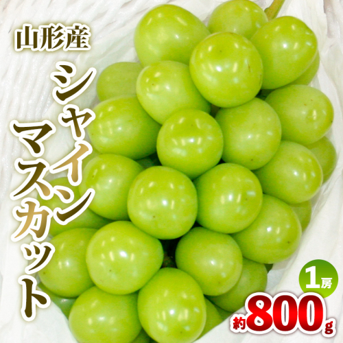 山形産 シャインマスカット 約800g 1房 秀品 【令和7年産先行予約】FS24-731 1547361 - 山形県山形市