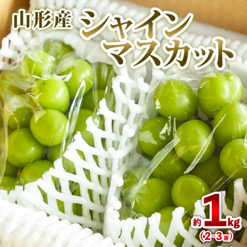 山形産 シャインマスカット 約1kg (2～3房) 秀品 【令和8年産先行予約】FS25-606 1547543 - 山形県山形市