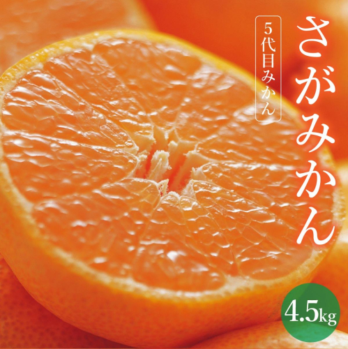 【期間限定】さがみかん （5代目みかん4.5kg）【温州みかん 甘い 濃厚 ジューシー コク 完熟 熟成みかん 蔵出し 蔵入り 柑橘 密柑 ギフト 果物 フルーツ 佐賀県産 佐賀県 大和 太良 石橋果樹園 人気】【B-1120-IK】 1547544 - 佐賀県上峰町