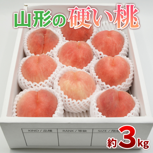 山形の硬い桃 秀品 約3kg(5～13玉) [固い桃] 【令和7年産先行予約】FS24-806 1547549 - 山形県山形市