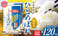 【定期便12回】令和6年産 宮城県産 ひとめぼれ 無洗米10kg(5kg×2）×12回   [ カメイ 宮城県 加美町 ]  お米 こめ コメ 精米 白米 ひとめぼれ | km00012-r6-10kg-12