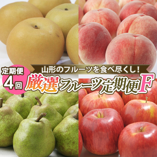 【定期便4回】山形のフルーツを食べ尽くし！厳選フルーツ定期便F 【令和7年産先行予約】FS24-803 1547695 - 山形県山形市