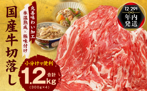 【TVで紹介されました！】国産牛 切り落とし 1.2kg 小分け 300g×4P【年内発送 国産 牛肉 氷温熟成×極味付け 訳あり サイズ不揃い カレー 牛丼 野菜炒め 肉じゃが 家計応援】 within2024 mrz0006y 1547740 - 大阪府泉佐野市