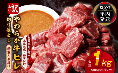 【年内発送】やわらか牛ヒレ肉 切り落とし 1kg 氷温熟成×特製ダレ【訳あり サイズ不揃い サイコロステーキ 一口サイズにカット】 within2024 mrz0038y 1547743 - 大阪府泉佐野市