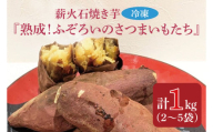 薪火石焼き芋『熟成！ふぞろいのさつまいもたち』約1kg(GV-2)