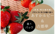 希少 数量限定 あすかルビー ＆ 古都華 食べ比べ 各1 パック セット 明日香村産 特産 ふるさと納税 いちご 苺 ストロベリー 果物 くだもの 美味しい 甘い 甘酸っぱい お取り寄せ 奈良 明日香 飛鳥 あすか 送料無料