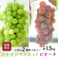 【先行予約・2026年9月】数量限定 食べ比べ！ シャインマスカットとピオーネのセット 合計約1.5kg 産地直送 農家直送 甘い 大きい 種なし ぶどう 果物
