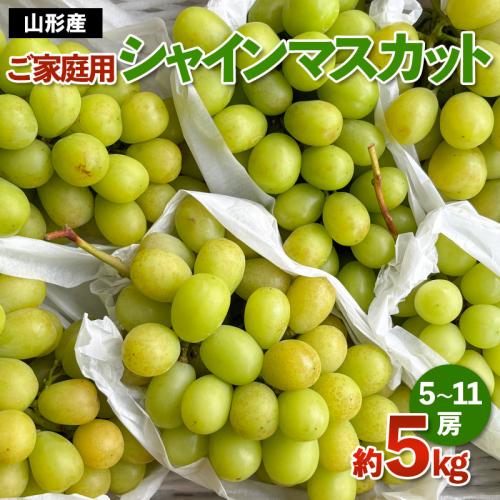 [ご家庭用]山形産 シャインマスカット 約5kg (5房～11房） 【令和7年産先行予約】FS24-749 1547911 - 山形県山形市