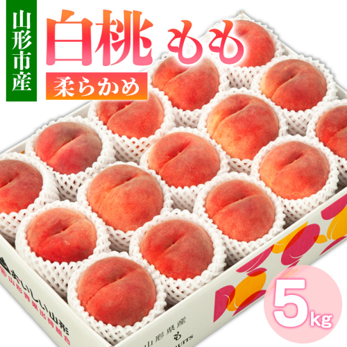 山形市産 白桃 もも 5kg 柔らかめ(10～16玉) 【令和7年産先行予約】FS24-752 1547930 - 山形県山形市