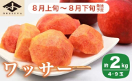 ワッサー 約2kg 4～9玉 ［小布施屋］ フルーツ 果物 長野県産 信州産 クール便 冷蔵便 数量限定 産地直送 令和7年産 【2025年8月上旬～8月下旬発送】 ［H-101］