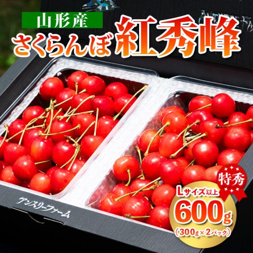 2025年産 さくらんぼ 「紅秀峰」 600g 特秀品 Lサイズ以上 山形産 【令和7年産先行予約】FS24-745 1547961 - 山形県山形市