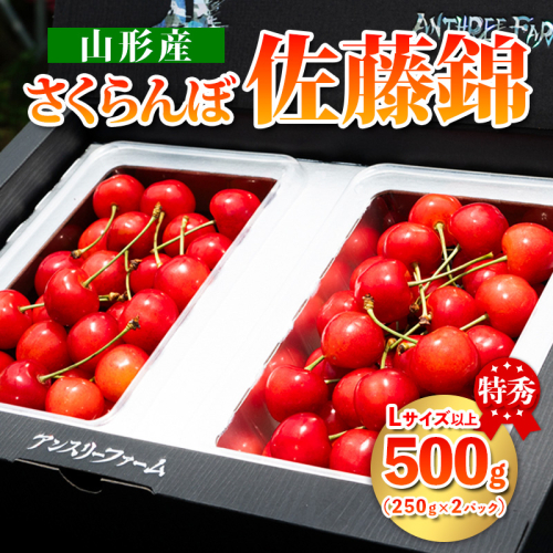  山形県産 さくらんぼ「佐藤錦」500g 特秀品 Lサイズ以上 【令和7年産先行予約】FS24-805 1547962 - 山形県山形市