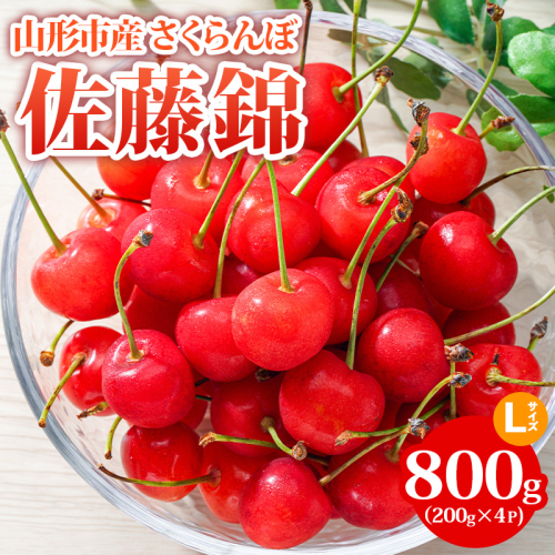 山形市産 さくらんぼ【佐藤錦】Lサイズ 800g(200g×4P) 【令和8年産先行予約】FS24-754 1547965 - 山形県山形市