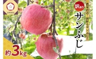 【選べる配送時期】 【訳あり】 りんご サンふじ 3kg 前後 10玉入 青森