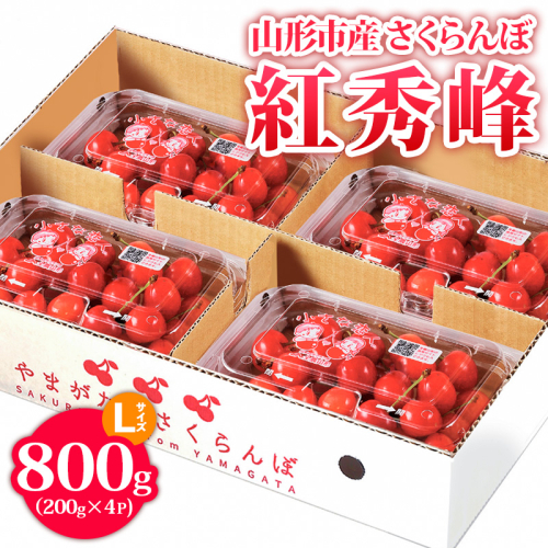 山形市産 さくらんぼ【紅秀峰】 Lサイズ 800g(200g×4P) 【令和7年産先行予約】FS24-755 1548021 - 山形県山形市