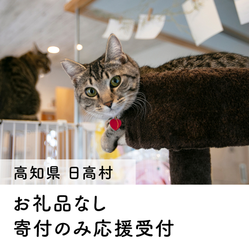 【お礼の品なし】里親募集型保護猫カフェの支援（動物愛護） 1548030 - 高知県日高村