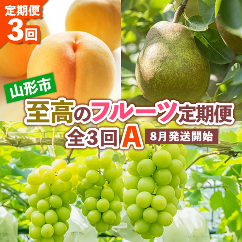 【定期便3回】山形市至高のフルーツ定期便 全3回A 8月発送開始 【令和7年産先行予約】FS24-761 1548031 - 山形県山形市