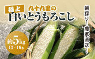 【2025年6月より順次発送！】朝採り!農家直送! 九十九里の極上白いとうもろこし 約5kg（13～16本）／とうもろこし トウモロコシ コーン 白いとうもろこし 味甘ちゃんホワイト 朝採れ 濃厚な甘み 新鮮 農家直送 千葉県 千葉県山武市 SMBU001