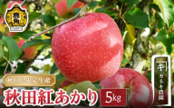 秋田県鹿角市 鹿角りんご 秋田紅あかり 5kg(13〜16玉)[カネキ農園]●2025年11月中旬発送開始 食感 果汁 甘い リンゴ 完熟 旬 県産りんご お中元 お歳暮 贈り物 お見舞い グルメ ギフト 故郷 秋田 あきた 鹿角市 鹿角 送料無料